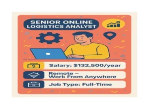 senior-online-logistics-analyst-jobs