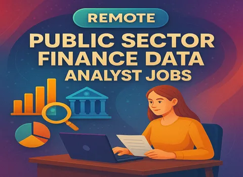 Remote Public Sector Finance Data Analyst